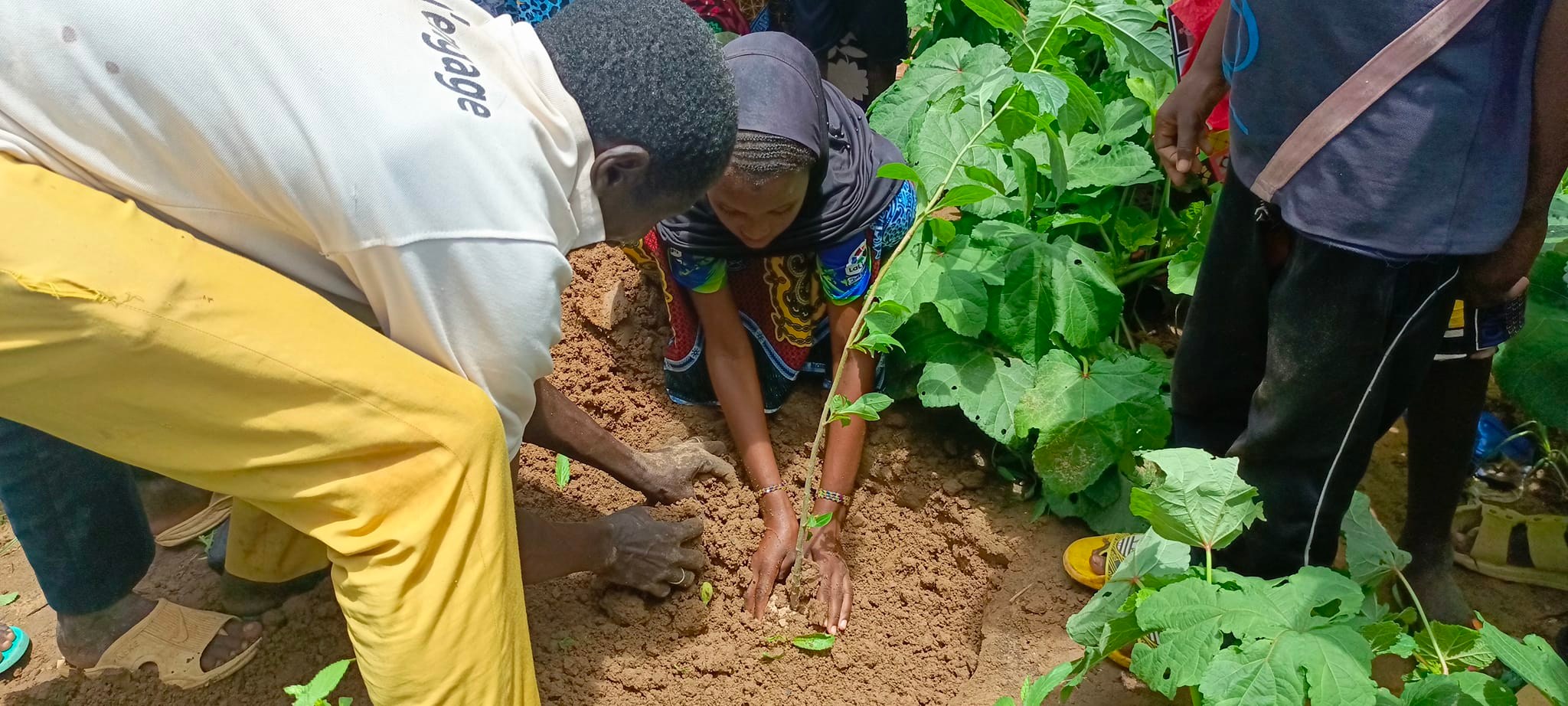 Préservation de l'environnement et de la biodiversité